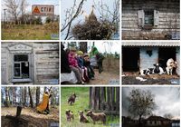 Обстановка в закрытом районе Чернобыля