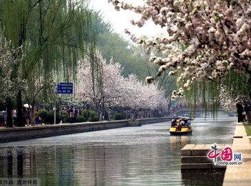 Красивые цветы в парке городской стены столицы династии Юань