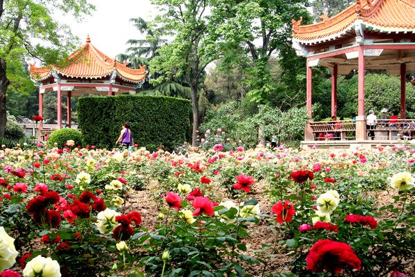 Достопримечательность города Чжэнчжоу: Парк на холме Биша города Чжэнчжоу провинции Хэнань