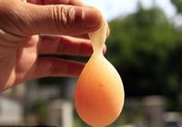 Куриное яйцо с длинным хвостом обнаружено в провинции Цзянси 