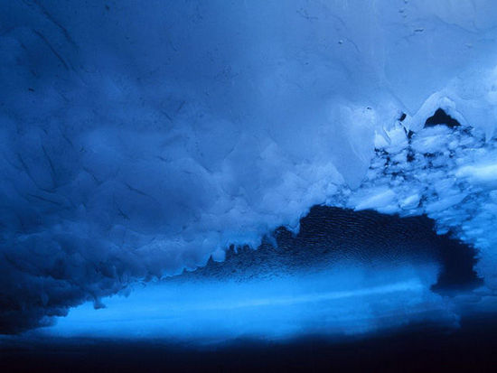 Лучшие фото от «National Geographic» - Синий цвет в жизни 3