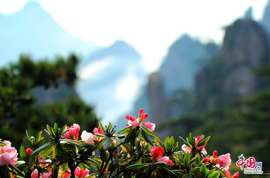 Начало лета в горах Хуаншань