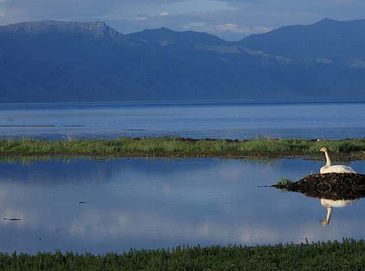 Очаровательное озеро Сайлиму в Синьцзян-Уйгурском автономном районе