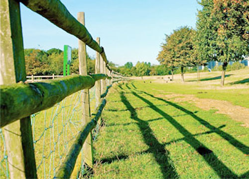 Парк и ферма Мадчат – является крупнейшим городской фермой в Европе, открытый парк занимает площадь в 34 акра, находится в центре Собачьего острова