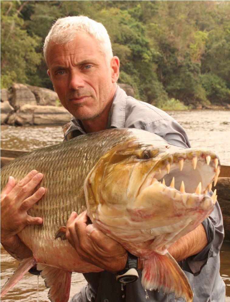 Удивительные рыбы-монстры Амазонки8