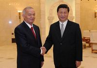 Си Цзиньпин встретился с президентом Узбекистана И. Каримовым