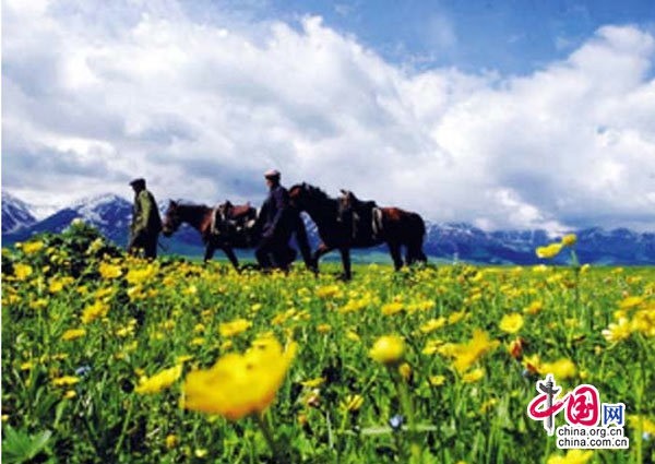 Прекрасные пейзажи Налати в Синьцзяне6