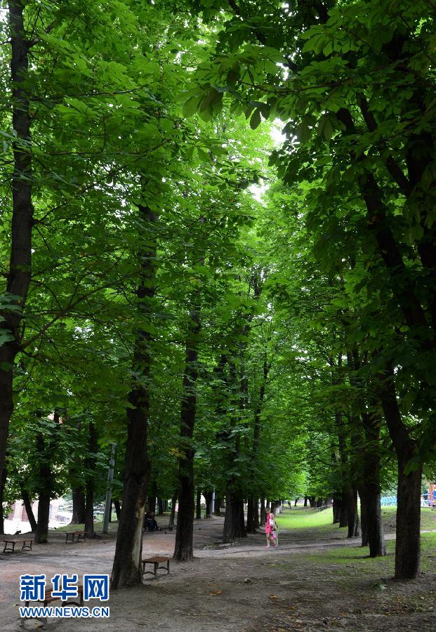 . В старом городе Львов множество церквей, музеев и других старых зданий, его называют «восточной Флоренцией». 