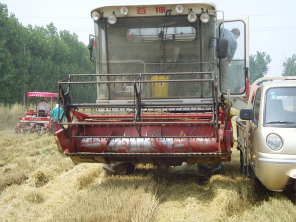 Уезд Гаоцин: десять тысяч сельскохозяйственных машин совместно задействованы в сборе урожая