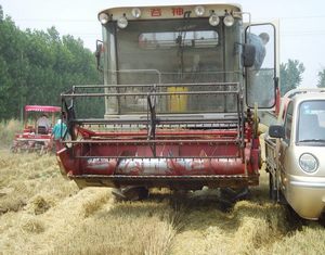 Уезд Гаоцин: десять тысяч сельскохозяйственных машин совместно задействованы в сборе урожая
