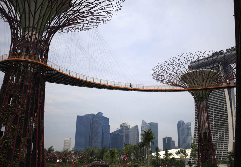 Красивые супер-деревья Сингапура3