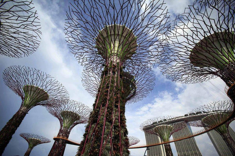 Красивые супер-деревья Сингапура5