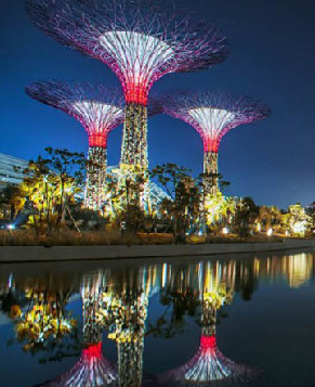 Красивые супер-деревья Сингапура8