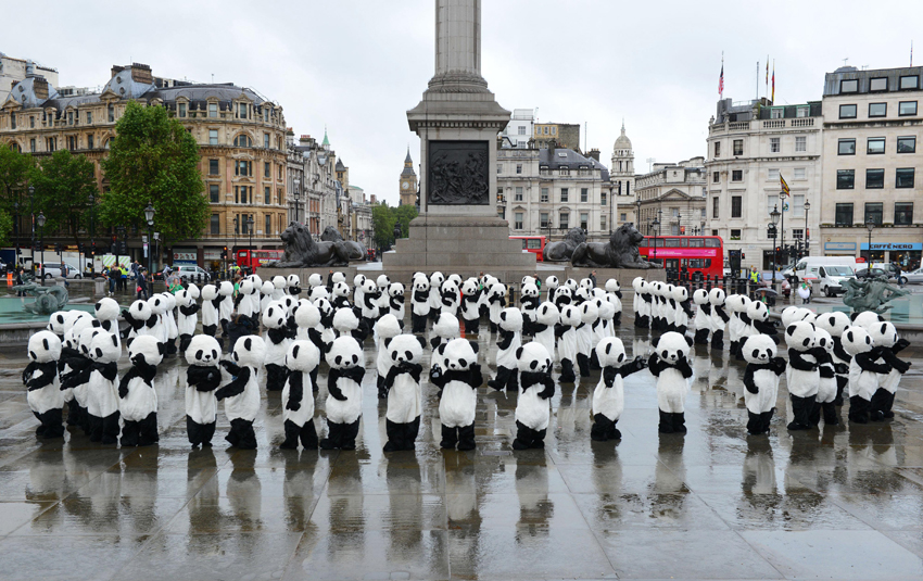 4 июля на известной Трафальгарской площади, в «Чайна-тауне» Лондона, в Ковент-Гарден и других местах 108 «вооруженных» людей-панд, представляющие 108 панд Чэндуской исследовательской базы по разведению панд, выступили с гимнастикой «тайцзи». 