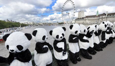 (Олимпиада-2012) Чэндуские панды в Лондоне
