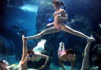 Прекрасный подводный российский балет в г. Фучжоу