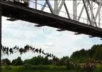135 экстремалов вместе спрыгнули с моста в России