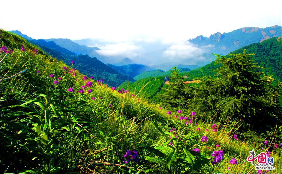 Сказочные горы Улиншань Пекина в дождь