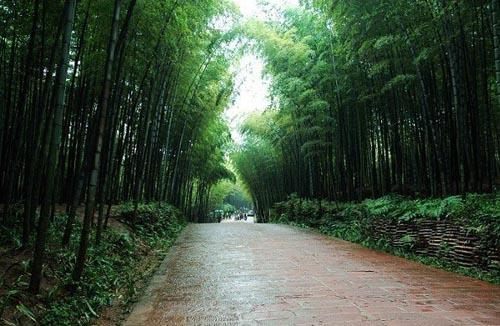 Идеальное место для проведения лета: Бамбуковое озеро на юге провинции Сычуань