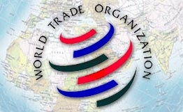 Китайский ученый: Вступление в ВТО принесет России «проблемы роста»