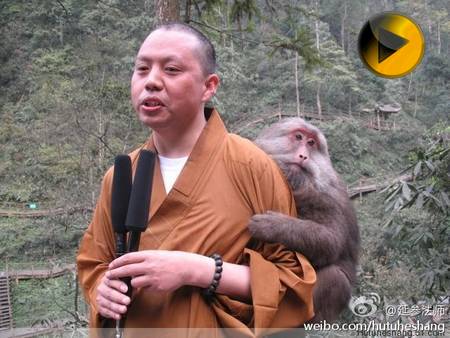 Китай: Самый «симпатичный» монах «Яньцань» с обезьянами 