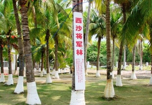 Кокосовый лес «Цзянцзюньлинь» в городе Саньша