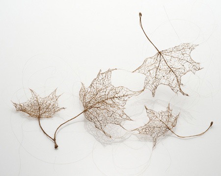 Творчество художника – листья из волос 