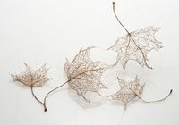 Творчество художника – листья из волос