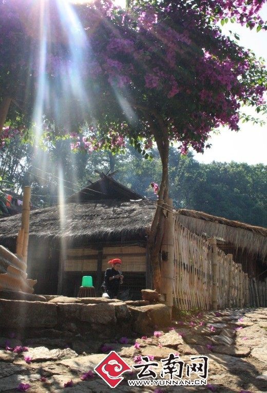 Последние первобытные племена в Китае: Вэндин в провинции Юньнань