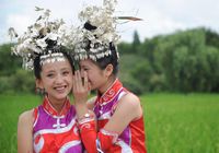 Народность Шуй весело празднует 'Восточный День Всех Влюбленных'