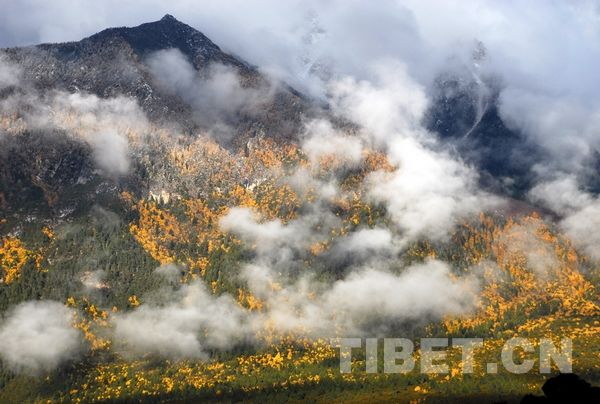 Красивый Тибет в объективе тибетского фотографа