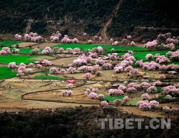 Красивый Тибет в объективе тибетского фотографа