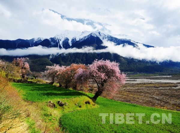 Красивый Тибет в объективе тибетского фотографа