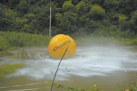Торговец из города Иу создал свой «Ноев ковчег» стоимостью 1,5 млн юаней