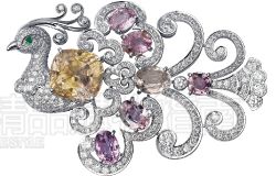 Фото: красивые броши