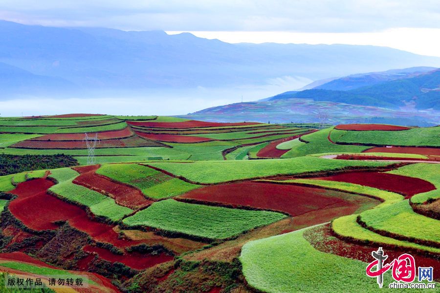 Красная земля в районе Дунчуань провинции Юньнань 