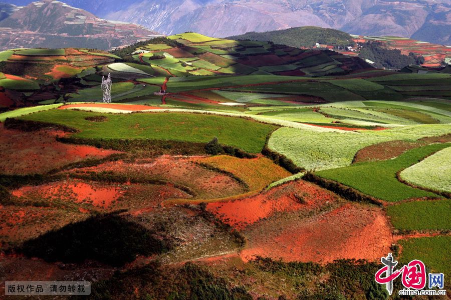 Красная земля в районе Дунчуань провинции Юньнань 