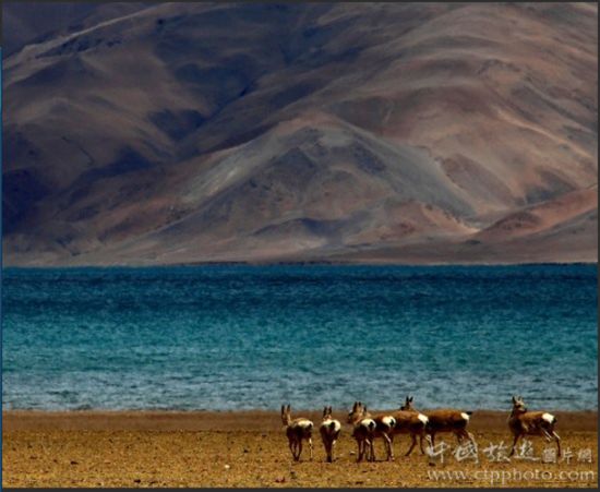 Тибет: Замечательные пейзажи района Али