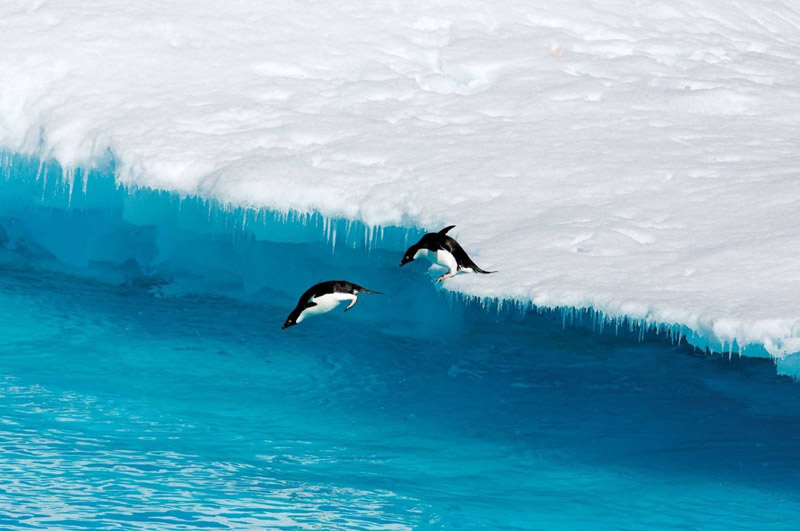 Удивительная красота Антарктиды3