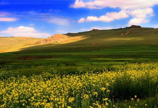 Топ-10 достопримечательностей Внутренней Монголии Китая 