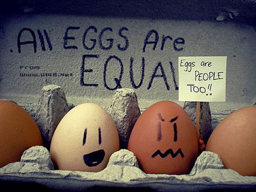 Забавные яйца
