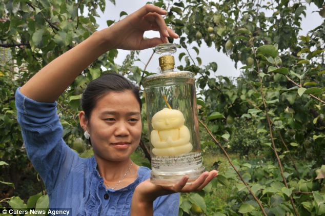 Китай: Необычные фрукты похожи на статуи Будды 3