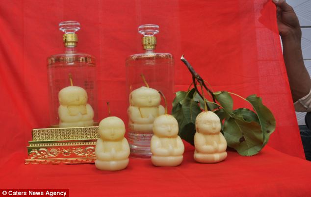Китай: Необычные фрукты похожи на статуи Будды 5