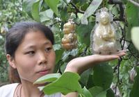 Китай: Необычные фрукты похожи на статуи Будды 2