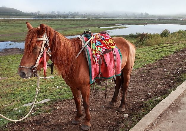 Красивые пейзажи в селе Шивэй 19