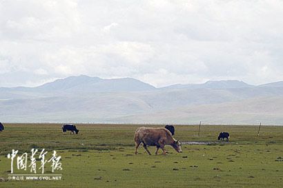 Шаньнань: колыбель тибетской национальности 