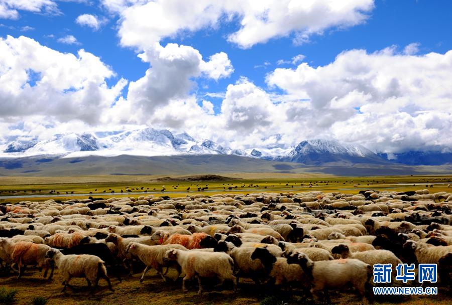 Красивые осенние пейзажи тибетского города Шигадзе2