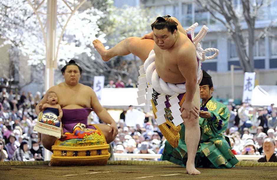О популярности сумо 