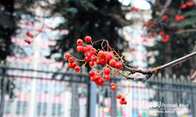 Золотая осень в Москве