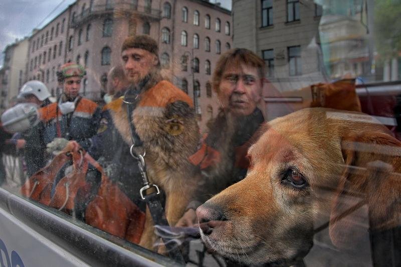 Интересная жизнь россиян в объективе фотографа6